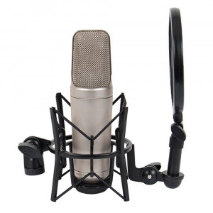 RODE NT2 A large capsule studio microphone