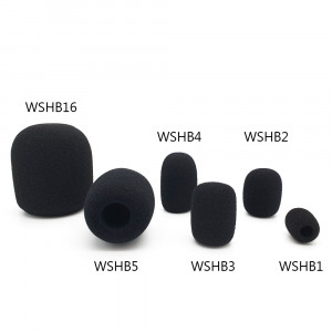 WSLB16 headset Windshield budget
