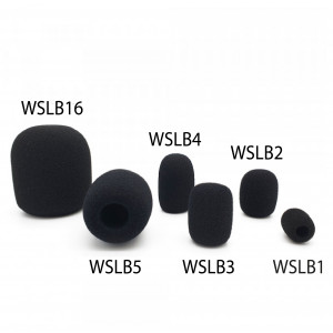 WSLB3 headset windshield budget